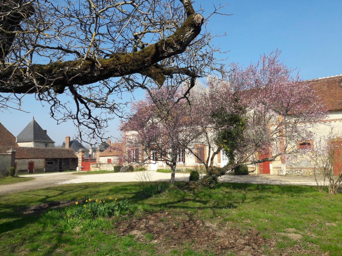 Gite Du Chateau La Bussière Exterior foto